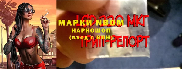 молекула духа Гусиноозёрск