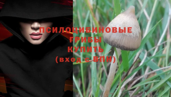 молекула духа Гусиноозёрск