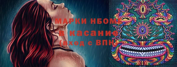 молекула духа Гусиноозёрск