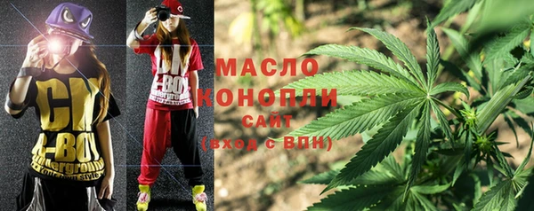 молекула духа Гусиноозёрск